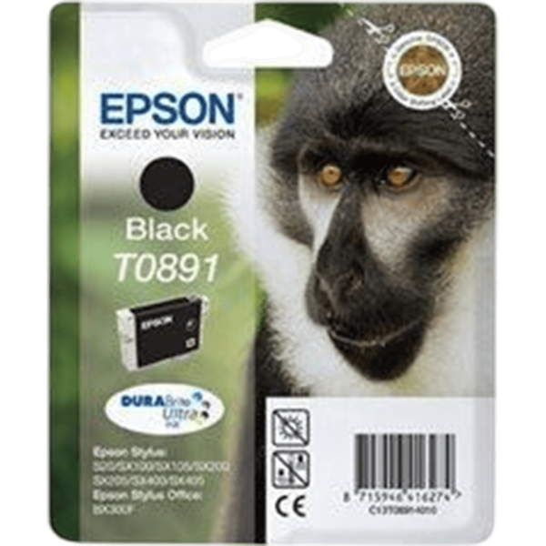 EPSON Ink T0891 Black | C13T08914011