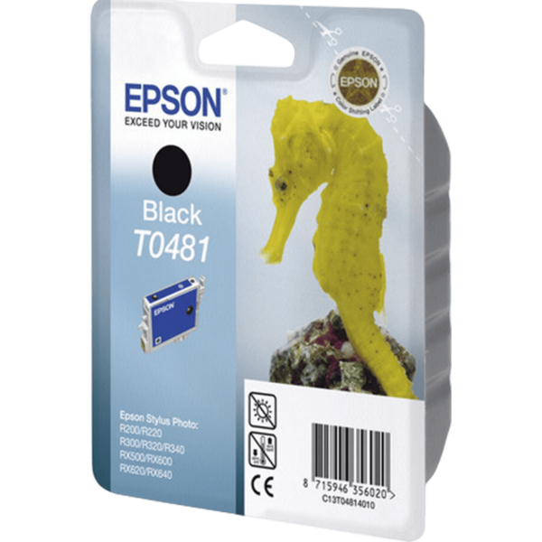 EPSON Ink T0481 Black | C13T04814020 - Image 2