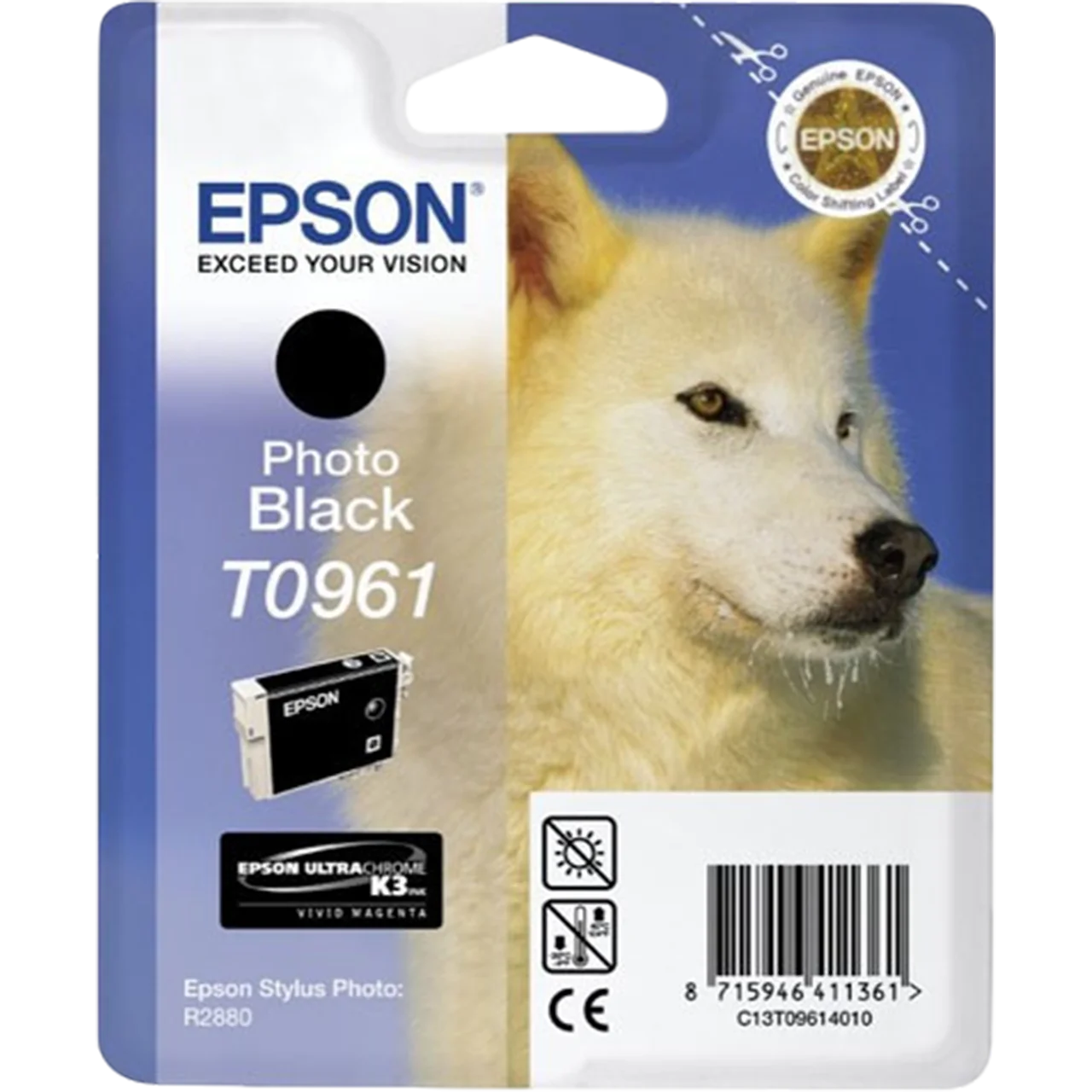 EPSON Ink Cartridge Singlepack Photo Black T096140 | C13T09614020
