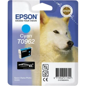 EPSON Ink Cartridge Singlepack Cyan T0962 | C13T09624010