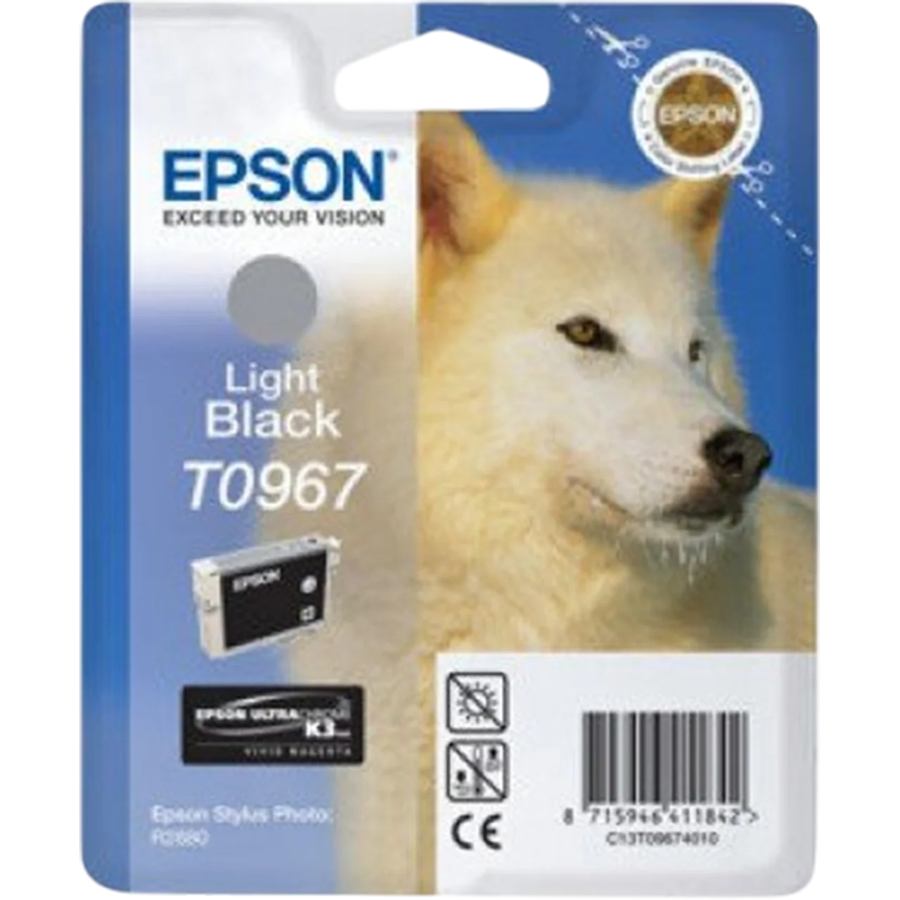 EPSON Ink Cartridge Singlepack Light Black T096740 | C13T09674020