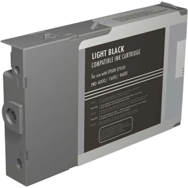 EPSON Ink Cartridge Singlepack Light Black T543700 | C13T543700