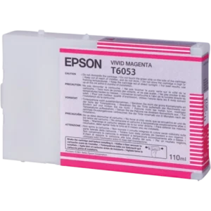 EPSON Ink Cartridge Singlepack Vivid Magenta T605300 | C13T605300