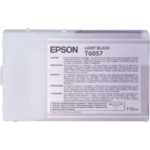 EPSON Ink Cartridge Singlepack Light Black T605700 | C13T605700