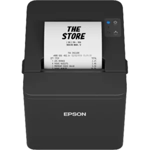 EPSON POS Printer TM-T20IV (102)