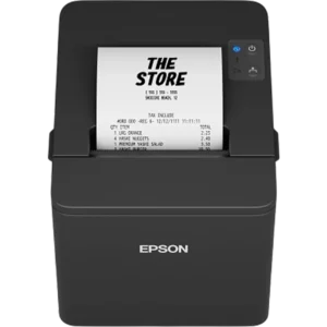 EPSON POS Printer TM-T20IV (101) | C31CL47101